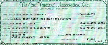 Certificate of Registration кошки в CFA