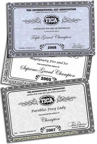 Титульные сертификаты TICA