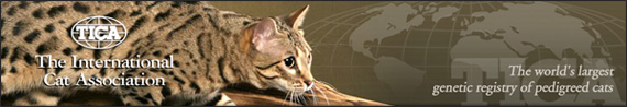 Международная ассоциация любителей кошек TICA