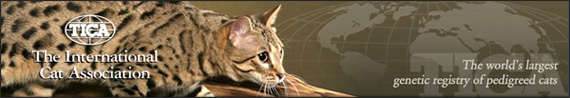 Международная ассоциация любителей кошек TICA