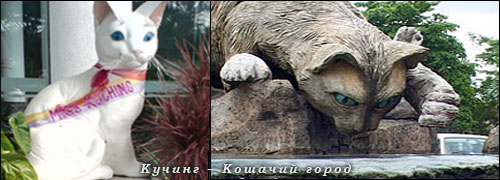 Кучинг – Кошачий город