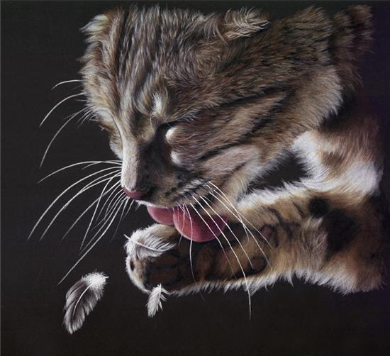 Кошки на полотнах Питера Уильямса 