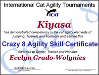 Crazy 8 Agility Skill Certificate