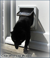 Изобретение дверцы для кошек