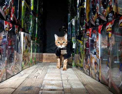 Майли за работой – кошачья охрана склада игрушек