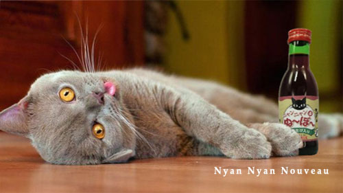 Вино для кошек Nyan Nyan Nouveau