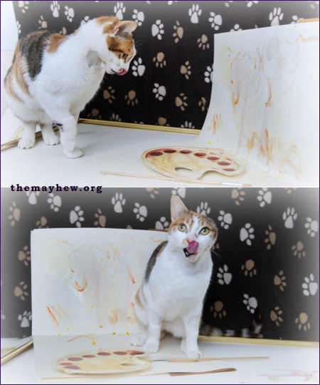 Одноухая кошка Ван Гог рисует шедевры