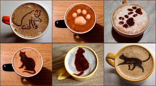 Кофе с котами или оригинальный латте-арт