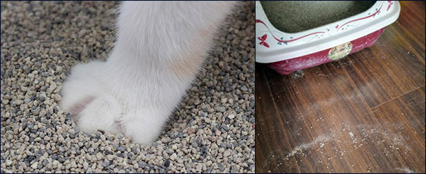 Найди меня по следам Наполнитель для туалета