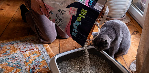 Осмотр перед активным использованием Минеральный наполнитель