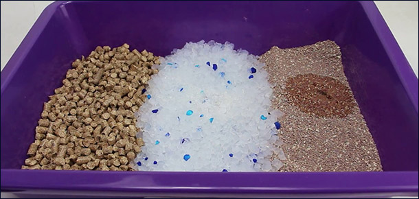 У разных наполнителей свои плюсы и минусы Наполнитель для туалета