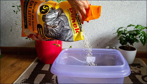 Комфорт питомца начинается с мелочей Наполнитель для туалета