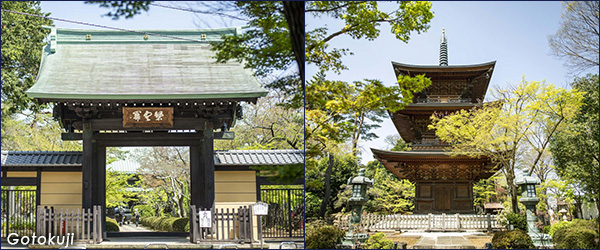 храм Готокудзи (Gōtokuji)